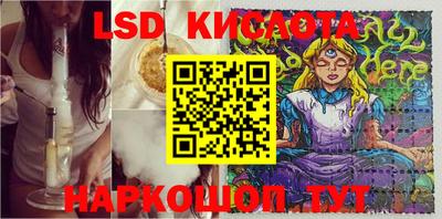 гашик Новодвинск