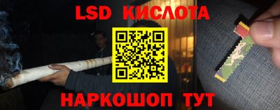 spice Обь