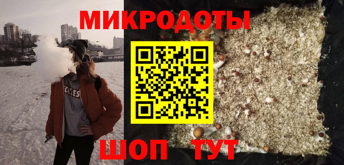 Северск  Галлюциногенные грибы мухоморы  Вход с VPN 