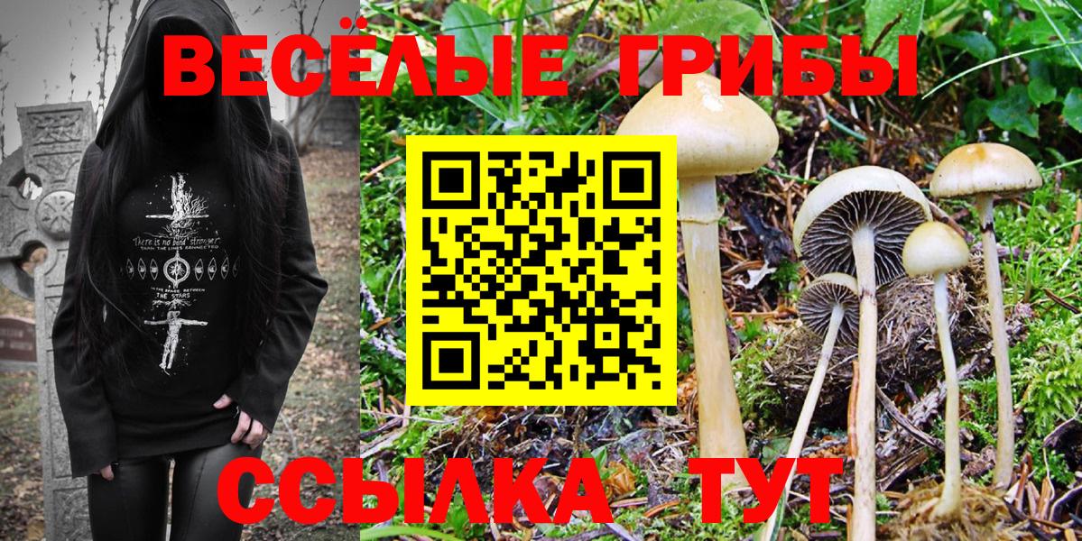 Галлюциногенные грибы GOLDEN TEACHER Северск